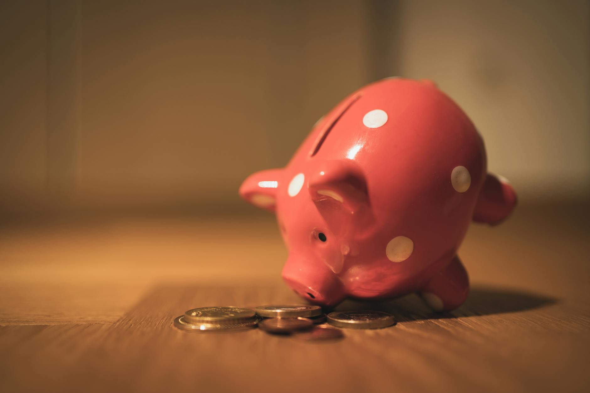 close up shot of a piggy bank beside coins